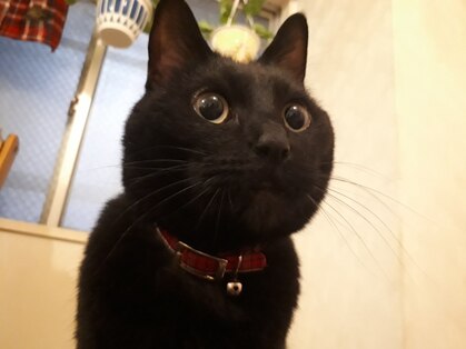 アトム(Bodycare&Relaxation ATOM)の写真