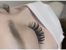 アステール(ASTER)/バインドロック140束