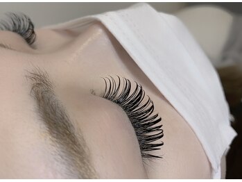 アステール(ASTER)/バインドロック140束