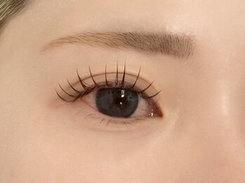 ルピナス 川口(Lupinus)/フラットラッシュ120本