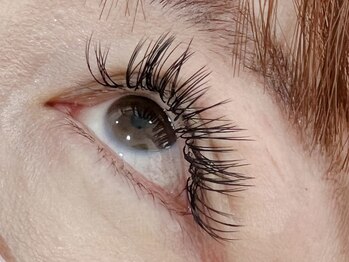 ルコル(Lecoeur)/バインドロック80本