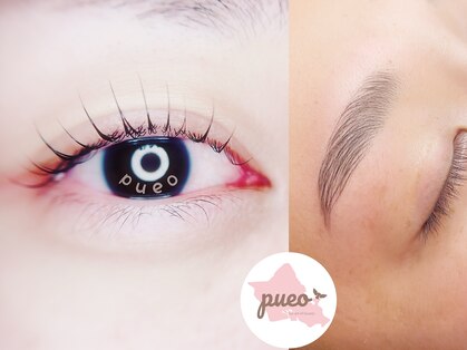 プエオ(pueo)の写真