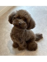 シーズ(C's)&nbsp;cocoro 