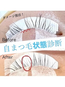 レシェリマ(Lesherima)/自まつ毛診断