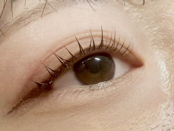 エスーガ(ESUGA)/