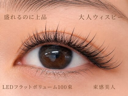チック(chick)の写真
