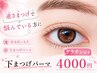 下まつげパーマのみ♪逆さまつげ対策♪+ケラチン 4000円