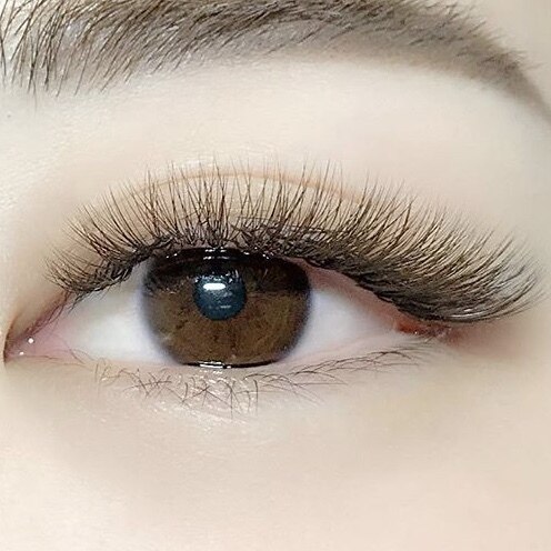 年版 宇都宮でブラウンがおすすめのまつげサロン8選 Beautify おすすめ美容室の口コミ ランキング情報 年版 宇都宮でブラウンがおすすめのまつげサロン8選 Beautify おすすめ美容室の口コミ ランキング情報
