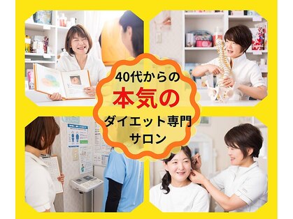 シュシュの写真