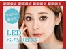 超おトク！【7/27～31限定】LEDバインドロック 60束180本￥5480オフ込み 
