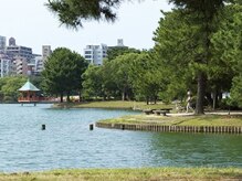 癒しの森 てせら/大濠公園