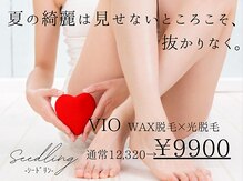 シードリン(Seedling)