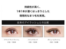 ジュピ(Jupi)/本数比較