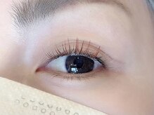 ソファー 国分寺(sofa)/フラットラッシュカラー120本