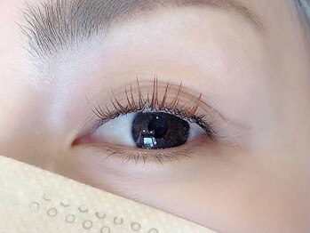 ソファー 国分寺(sofa)/フラットラッシュカラー120本