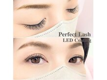 高持続☆高リピート!! PerfectLash 新潟県内初導入店♪