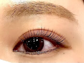 アルーマ アイ(allma.eye)/ラッシュリフト パリジェンヌ