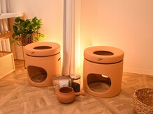 マキアモカラビジュー(MaKiA/MokarA/Bijyu)/ペア蒸し