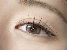 フェディス(Fedis)/LED/フラットラッシュ