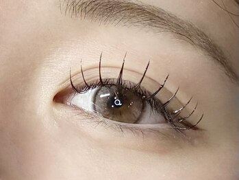 フェディス(Fedis)/LED/フラットラッシュ