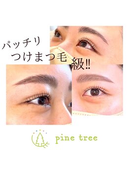 パインツリー(pine tree)/これぞまつ毛パーマ！