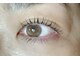 フェリーチェ(Felice)の写真