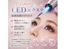 エールフェルム(aile ferme)の雰囲気（LEDエクステ）