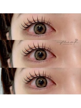 フルールシュア(fleur sr.)/パリエク120本