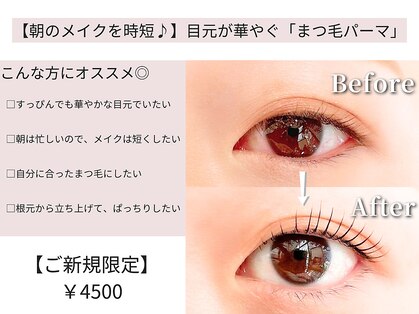 アモール(Amor)の写真