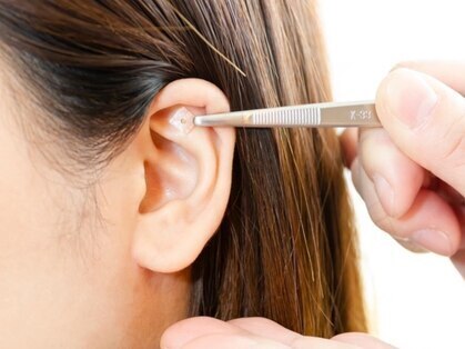 リナータ(Renata)の写真