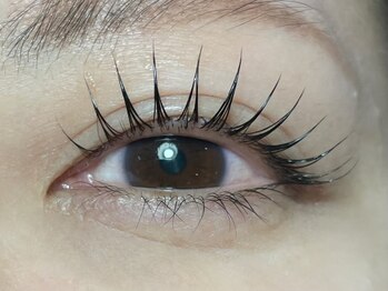 キャッツアイ東京 新宿店(Cat's eye TOKYO)/まつ毛パーマ