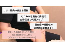ビューティーマックス エースタジオ(Beauty MAX Astudio)の雰囲気（発汗が止まらない！！デトックスリンパマッサージ！）