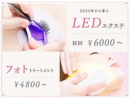 シュシュ(Chouchou)の写真
