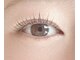 クプアプラス(Kupu'a plus)の写真