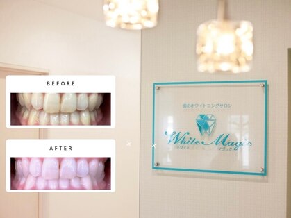 ホワイトマジック(White Magic)の写真