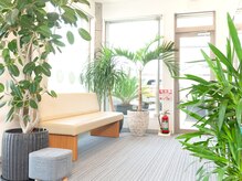 整体 整骨院 まかな/内観（待合）