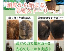 ハイパワーマシンと高濃度漢方でその場で効果を実感！育毛促進！