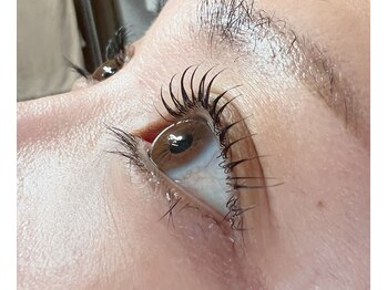 ベルリエナ(Belle Liena)/まつげパーマ　ラッシュリフト