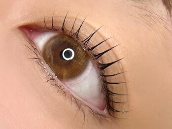 トレース(tres)の写真/【持ちの良さが自慢のまつ毛パーマ☆】持ちの良さ◎新技術パリジェンヌラッシュリフト導入店！