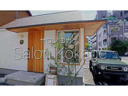 コカゲ(Kokage)の写真