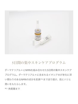 ベルフィーヌ(BELFINE)/5日間集中スキンケア