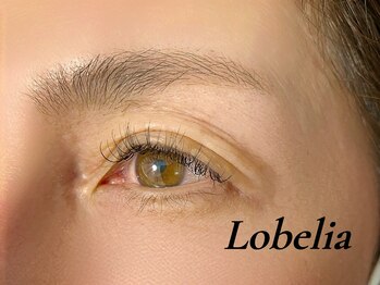 ロベリア 恵比寿(Lobelia)の写真/年齢やなりたいイメージに寄り添い、ダメージをケアして魅力的な目元へ導くサロン☆