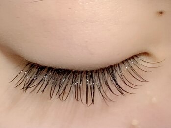 カラン 焼津店(CALIN)/フラットラッシュ100本