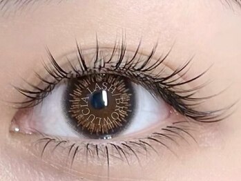 ルシアラッシュブロウ 新宿(LUCIA LASH BROW)/ハイブリッドラッシュ♪