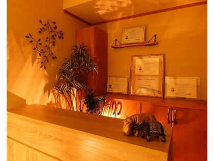 スイミー(Swimmy)の写真