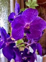 わたなべ整体院/