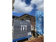 アイビー(IVY)