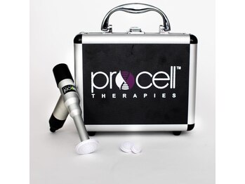 サラシック(salachic)/毛量が少ない/毛穴/凹凸肌