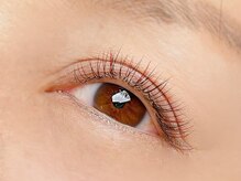 フラワー(FLOWER)