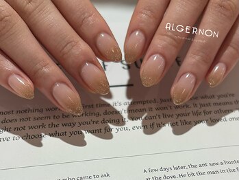 アルジャーノン リトリート(ALGERNON retreat)/グラデーション.・～*